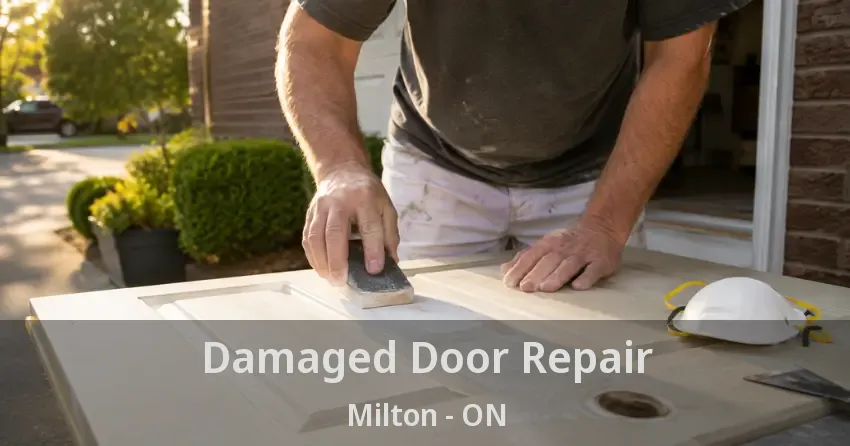 Damaged Door Repair Milton - ON