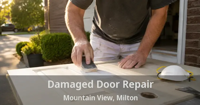 Damaged Door Repair Mountain View, Milton - ON
