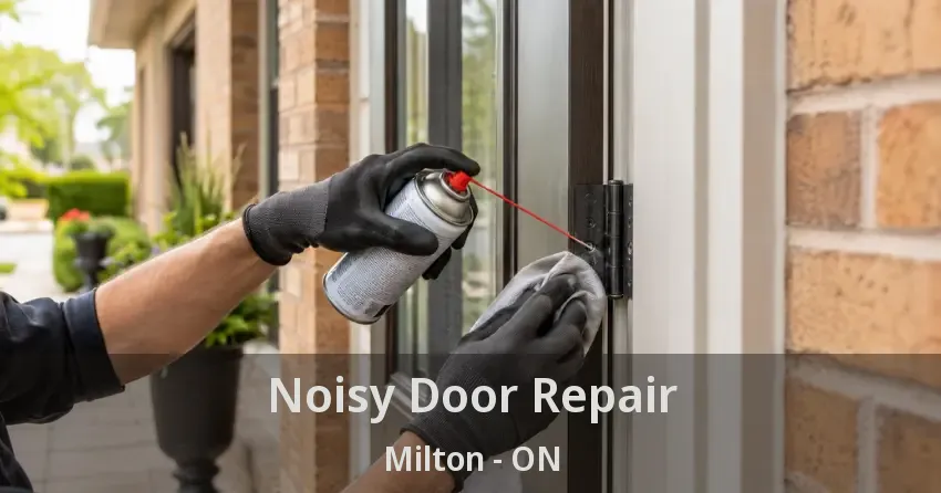 Noisy Door Repair Milton - ON