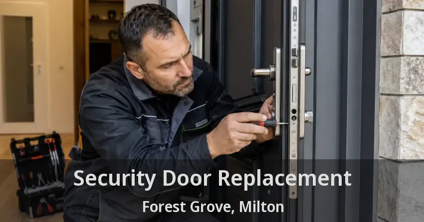 Security Door Replacement Forest Grove, Milton - ON