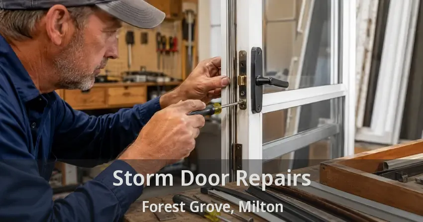 Storm Door Repairs Forest Grove, Milton - ON