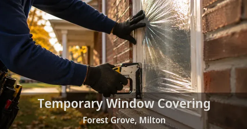 Temporary Window Covering Forest Grove, Milton - ON